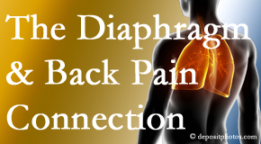 Vancouver Disc Centers recognizes the relationship of the diaphragm to the body and spine and back pain. 