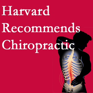 Vancouver Disc Centers offers chiropractic care like Harvard recommends.