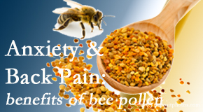 Vancouver Disc Centers shares info on the benefits of bee pollen on cognitive function that may be impaired when dealing with back pain.