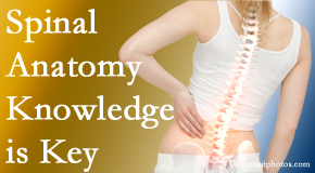 Vancouver Disc Centers understands spinal anatomy well – a benefit to everyday chiropractic practice!