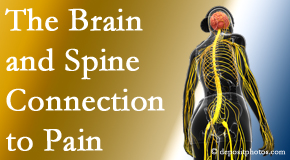 Vancouver Disc Centers shares at the connection between the brain and spine in back pain patients to better help them find pain relief.
