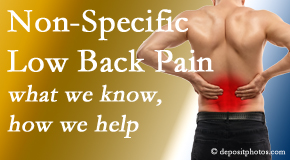 Vancouver Disc Centers describes the specific characteristics and treatment of non-specific low back pain. 