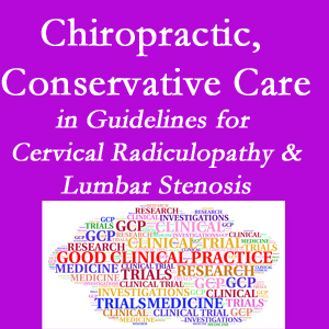 Vancouver chiropractic care for cervical radiculopathy and lumbar spinal stenosis is often ignored in medical studies and recommendations despite documented benefits. 