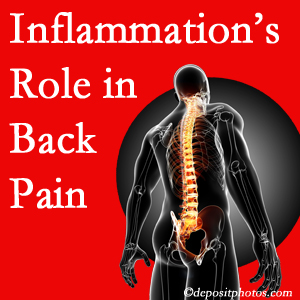 The role of inflammation in Vancouver back pain is real. Chiropractic care can help.