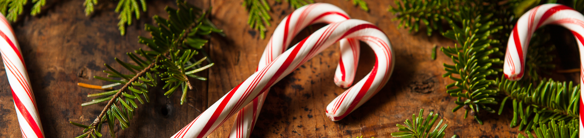 Peppermint for Vancouver Cognition & Appetite Regulation!