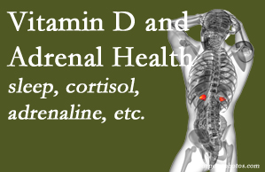 Vancouver Disc Centers shares new studies about the effect of vitamin D on adrenal health and function.